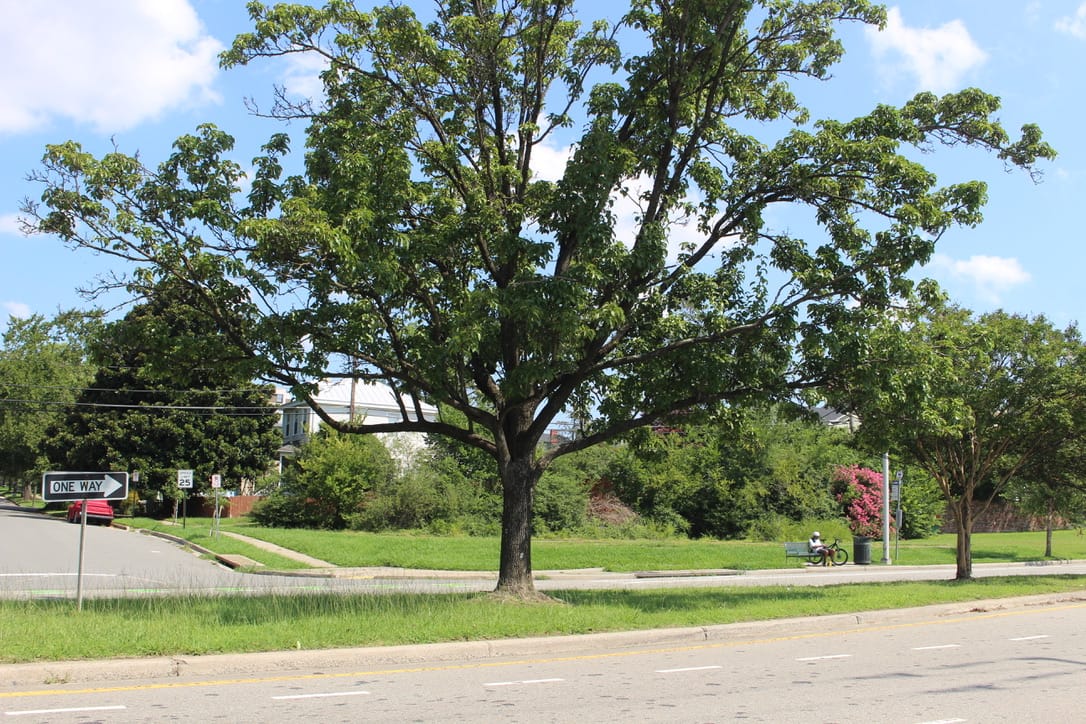 Affordable housing performance grant: 1903 Semmes