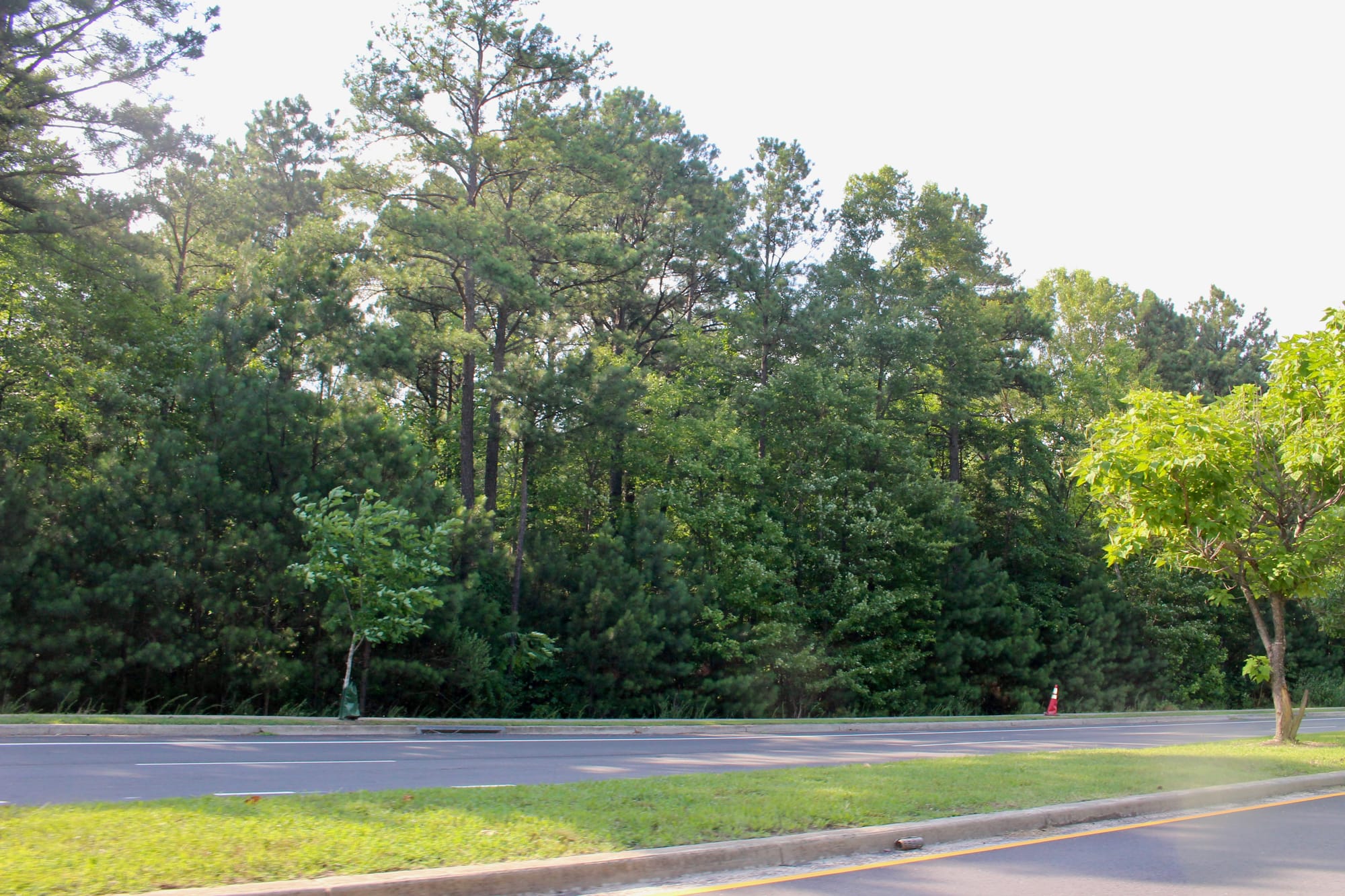 Affordable housing performance grant: 250 E. German School Road