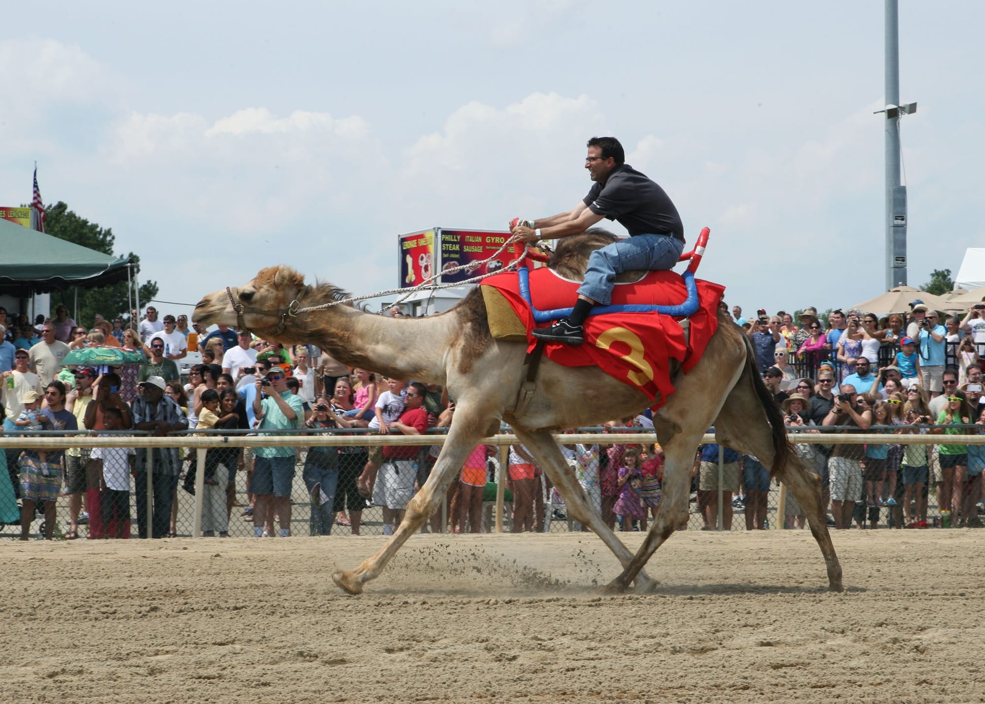 Colonial Downs will have camel, ostrich and zebra races on Friday night