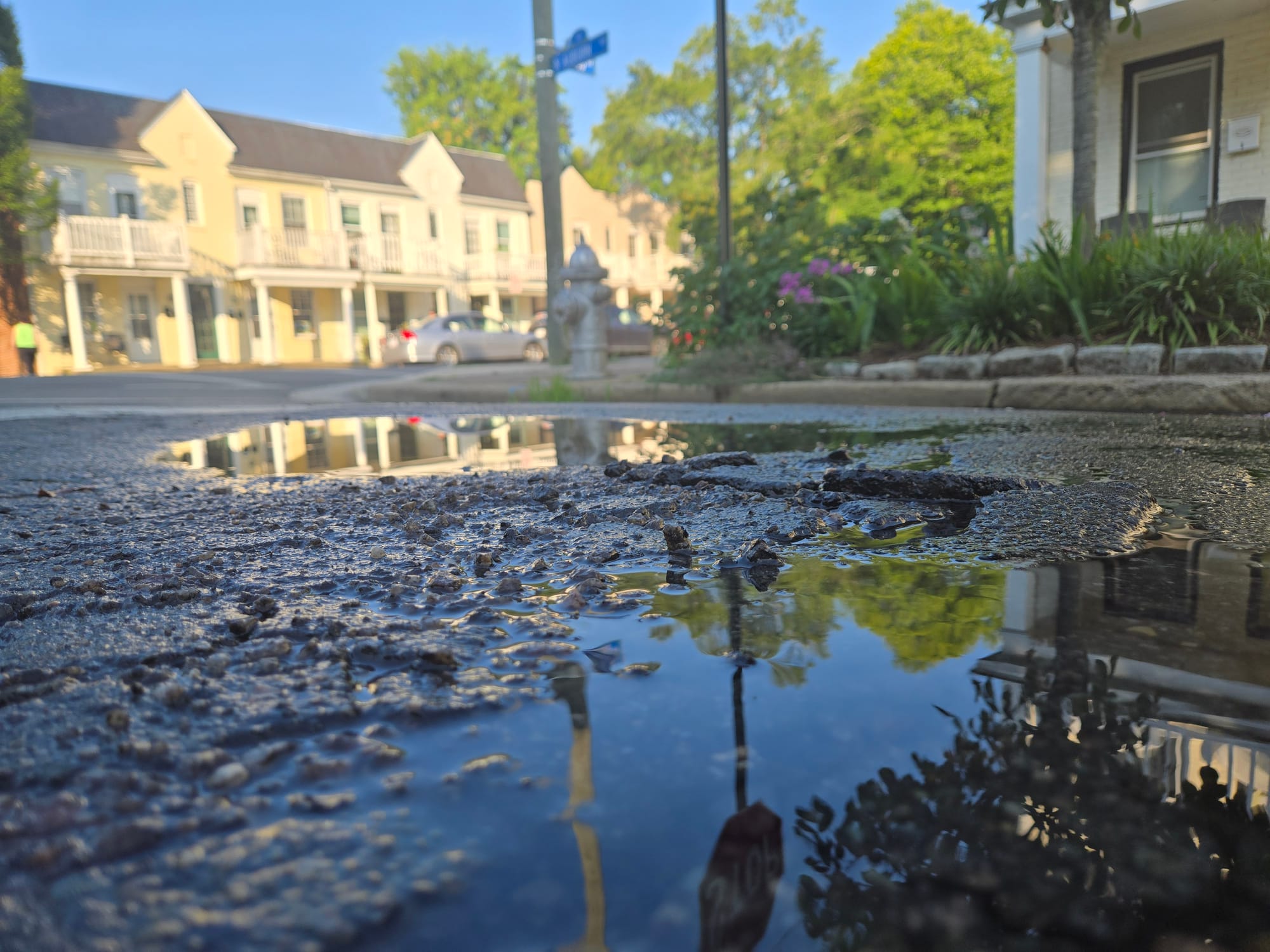 Timeline of RVA311 requests for service at Auburn and Ellwood