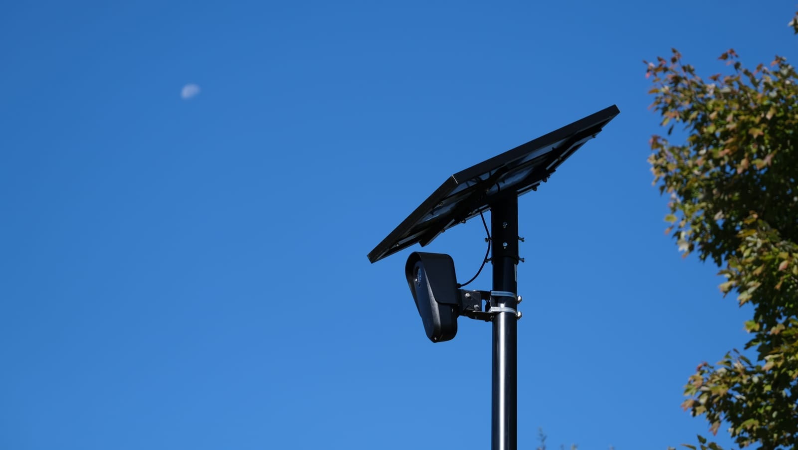 RPD has spent $1 million on Flock license-plate readers. With those contracts up for renewal, anti-surveillance activists call for cancellation while Mayor, Council demur