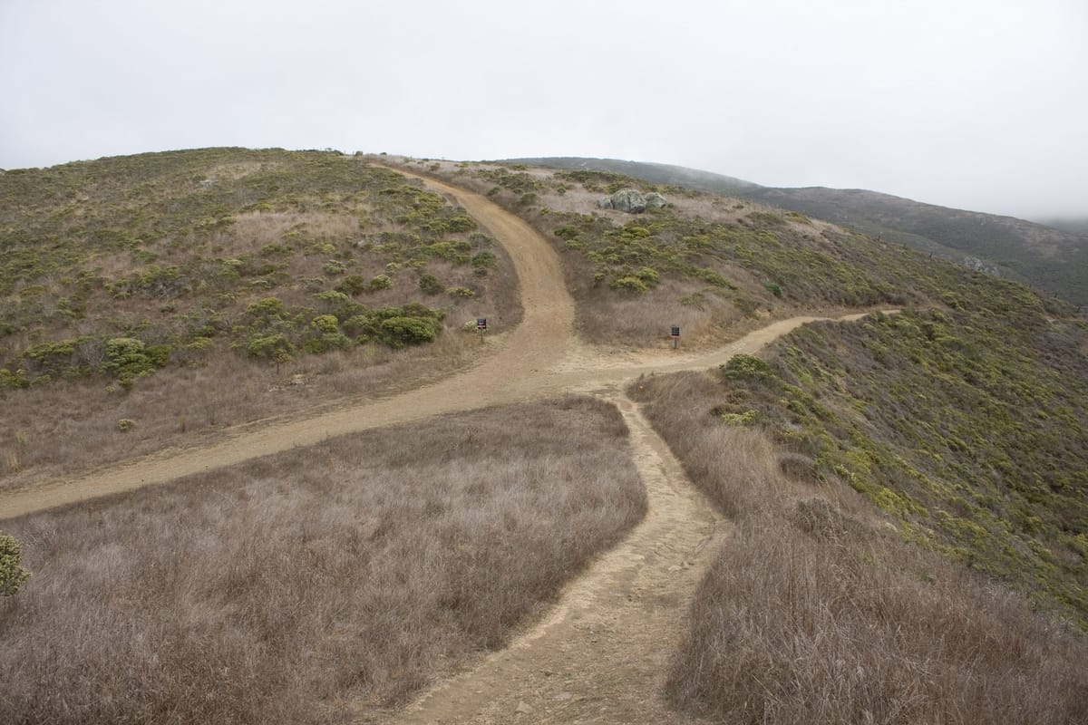 On Faith and Values: Beating our own path