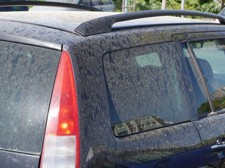 Richmond once again one of the nation's hotspots for allergies
