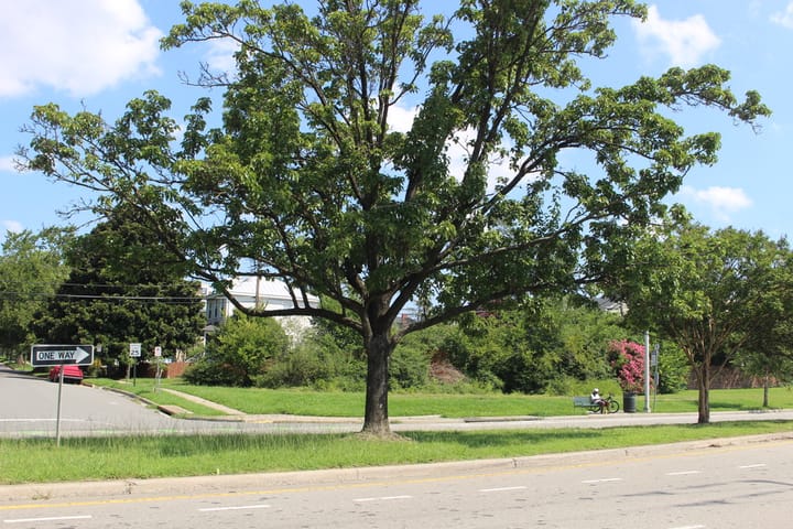 Affordable housing performance grant: 1903 Semmes