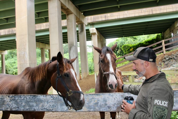 After years in a stable under an overpass, Richmond’s police horses could get a new home