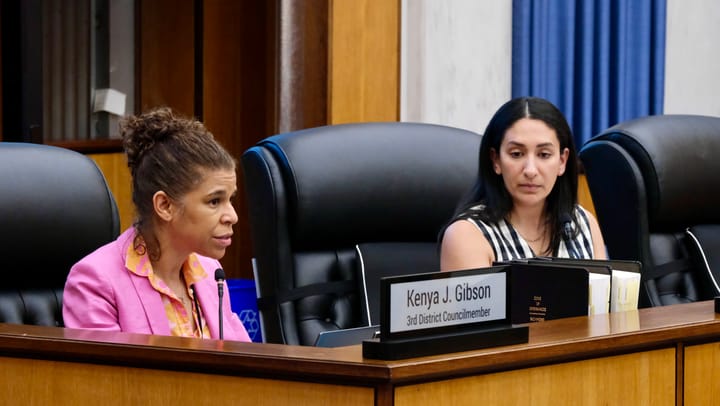 Gibson pushing for robust FOIA library in package of City Hall transparency measures