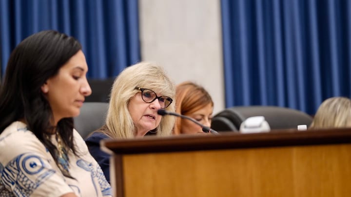 Siding with Avula, Council rejects push to lower real estate tax bills
