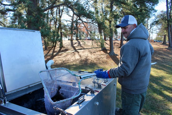There are 500 trout in Shields Lake. You can eat them — if you can catch them.