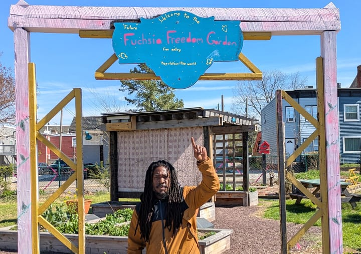 Fuchsia Freedom Garden in Jackson Ward springs forward with growth